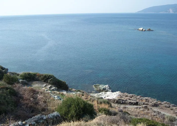 Likoremaview
